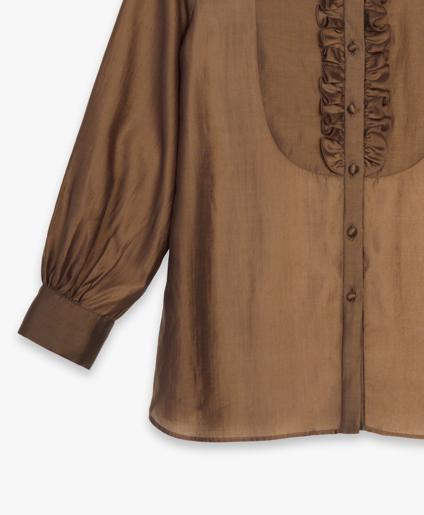Women's Regular Fit Long Sleeves Blouse